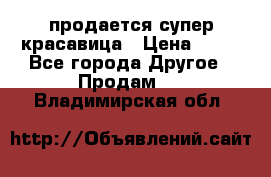продается супер красавица › Цена ­ 50 - Все города Другое » Продам   . Владимирская обл.